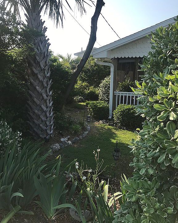 Front yard 