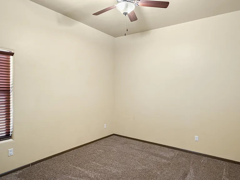3950 Agua De Vida Dr — Photo 15