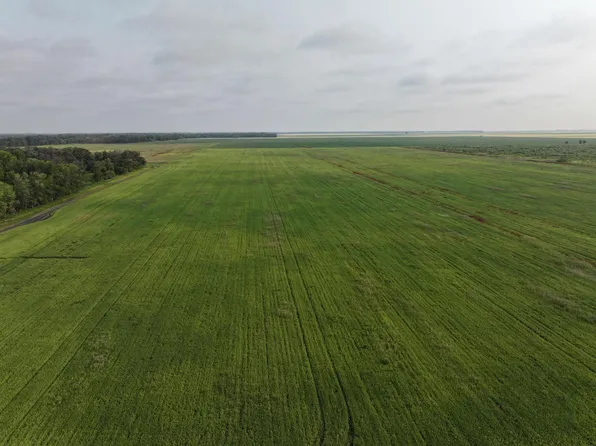390th St NW, Stephen, MN 56757