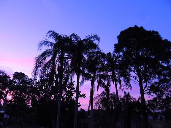 evening views of our lake 