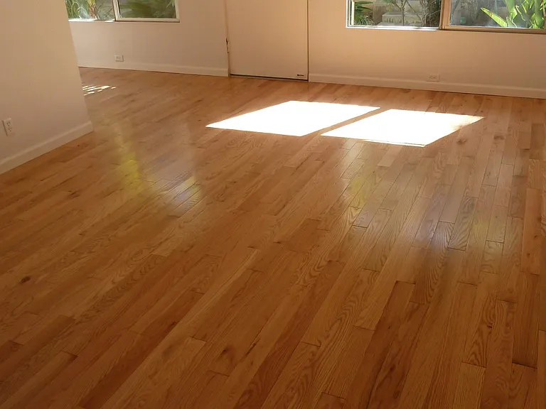 1028 2nd St #6 — Photo 6
