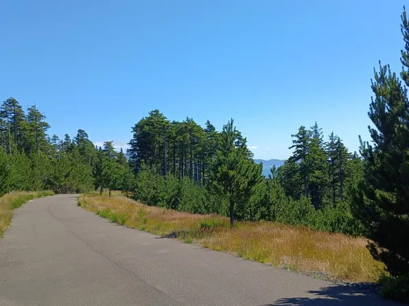 2 Taxlots Manzanita St, Oceanside, OR 97134