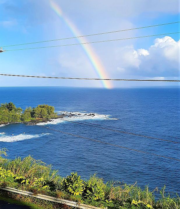 362331 Old Mamalahoa Hwy, Laupahoehoe, HI 96764 Zillow