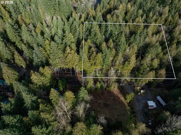 70551 E Mountain Dr, Rhododendron, OR 97049