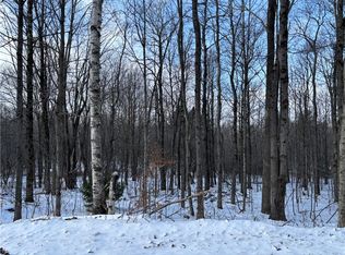 Smokey Ave, Schenevus, NY 12155