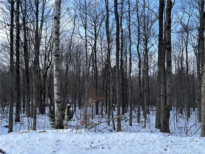 Smokey Ave, Schenevus, NY, 12155
