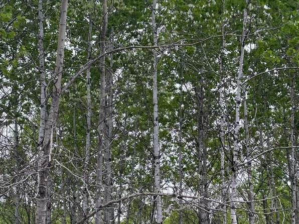 Kelly Fire Ln Lot 4, Tomahawk, WI 54487