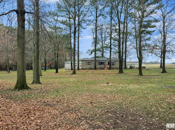 215 Scout Cabin Rd, Carterville, IL 62918
