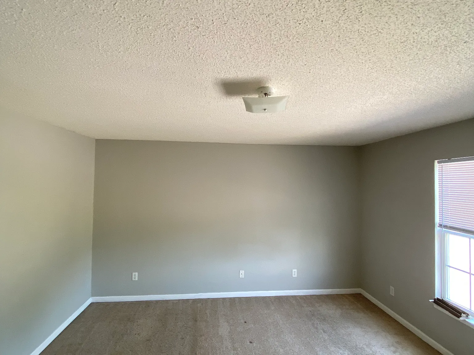 2 bed, 1.5 bath, 1250 sqft, $1,800 — Photo 3