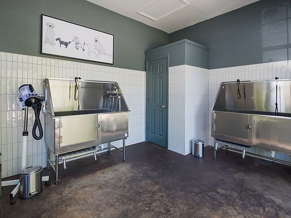 Dog Wash