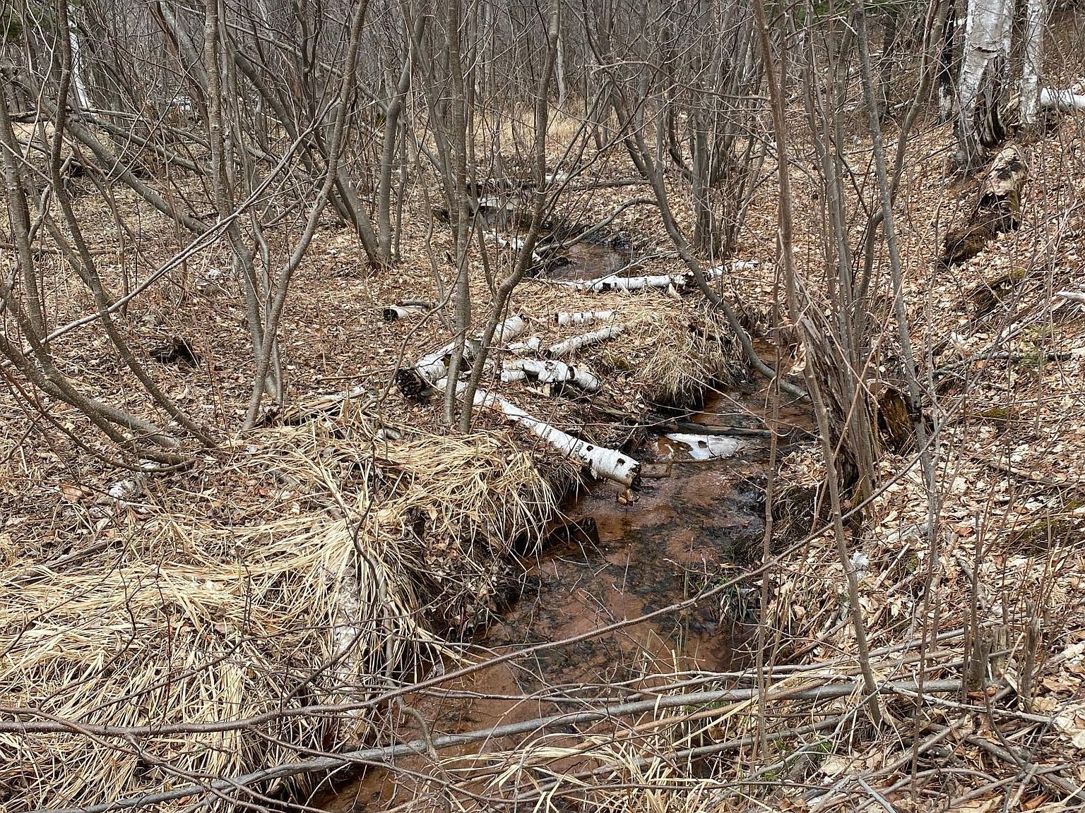 0 State Highway 23, Holyoke, MN 55749 Zillow