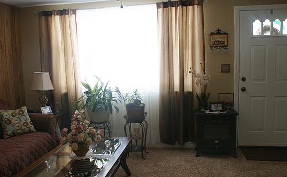 Lots Of Natural Light!