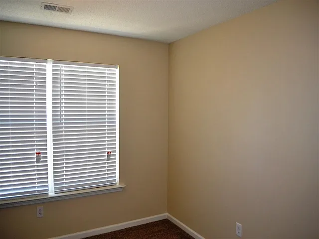 174 Bonnie Woods Dr — Photo 12