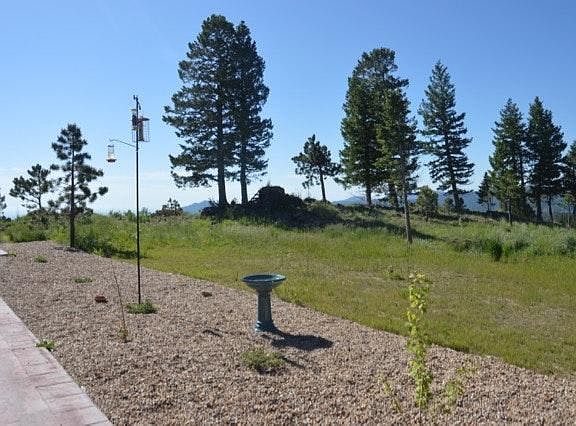 Yard to south and east, now the aspen are large
