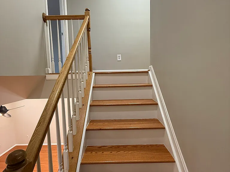 2427 Clover Field Cir — Photo 19