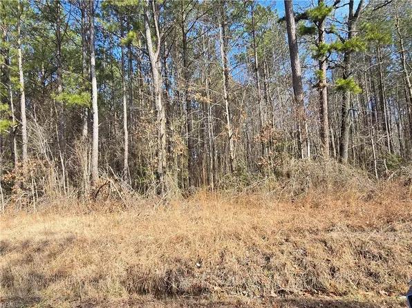 Warrique Rd, Ivor, VA 23866