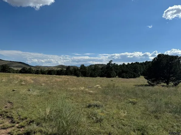 1038 20th Trl, Cotopaxi, CO 81223