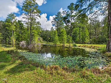 Property photo 45