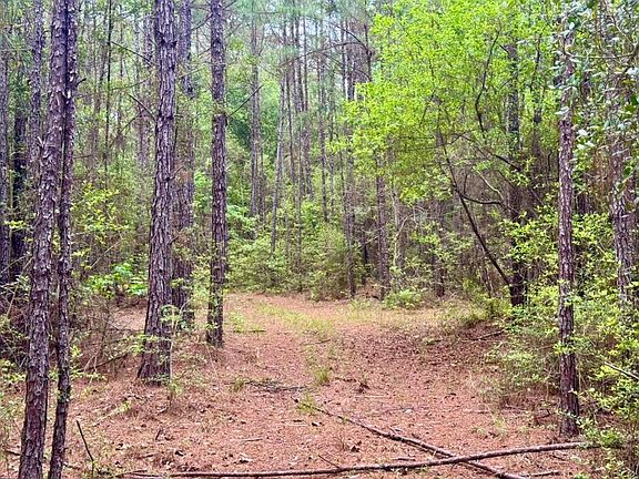 4th image of 17 Acres Cres #1375