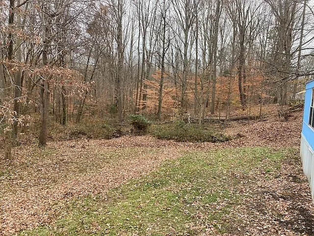 123 Crystal Ct — Photo 8