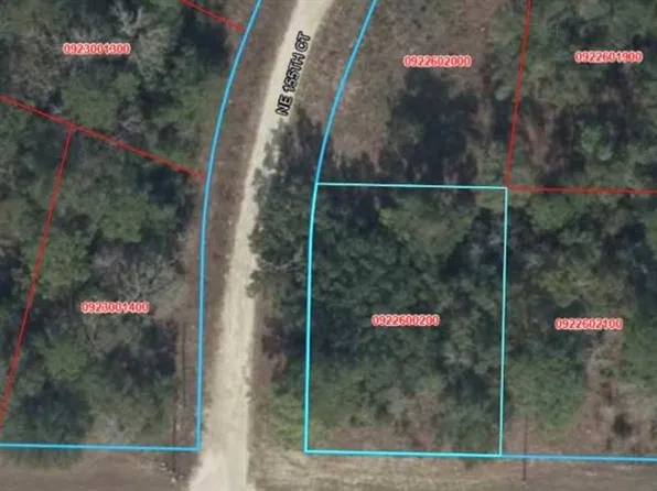 E LEVY STREET LOT 21, WILLISTON, FL 32696