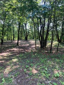 6 Sleaford Rd Parcel 6, Howell, MI, 48843