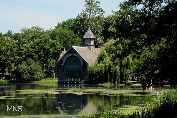 Sold by MNS | media 14