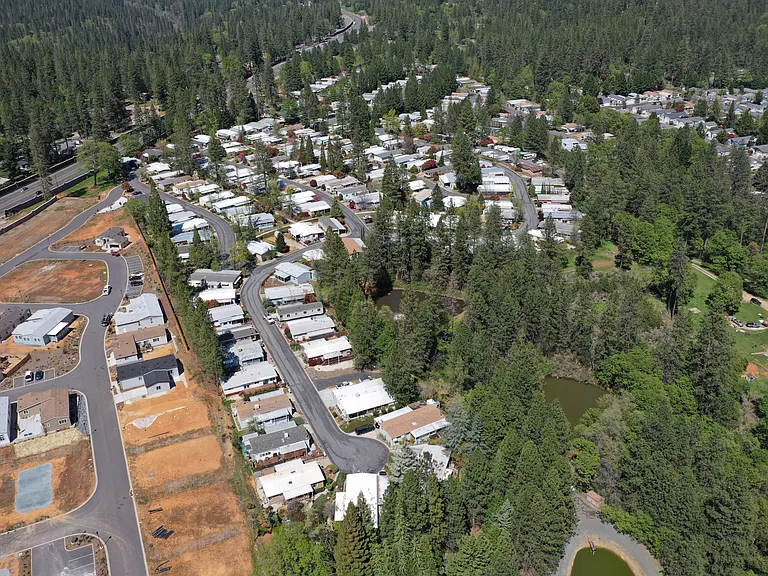 Forest Springs — Photo 2