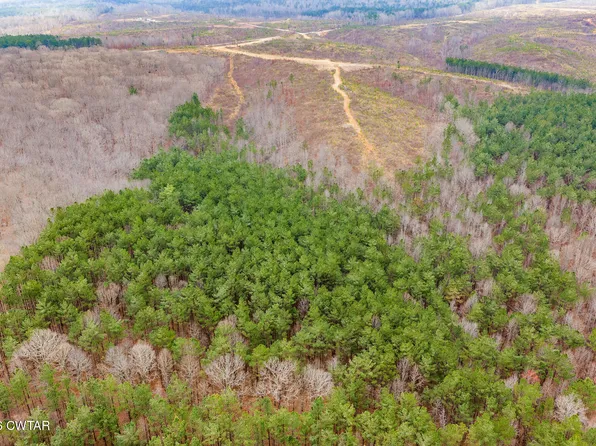 0 Rockport McIllwain Rd Tract 2, Holladay, TN 38341