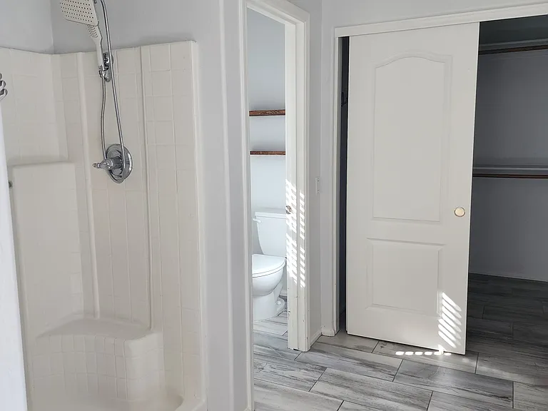 Master bath shower
