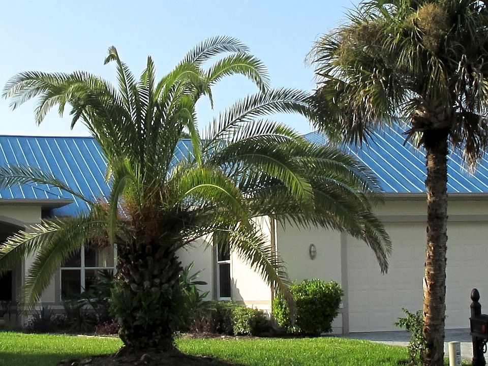 .92 acre Palm Tree Paradise