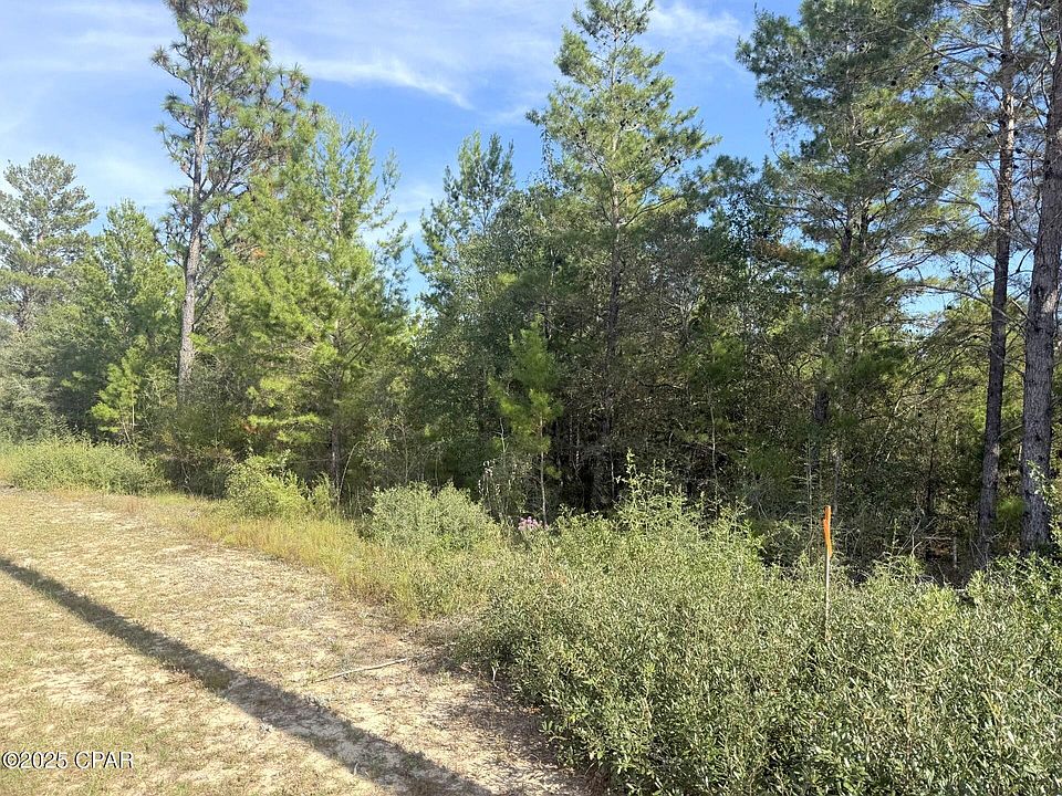 2nd image of Shenandoah Blvd Lot 3