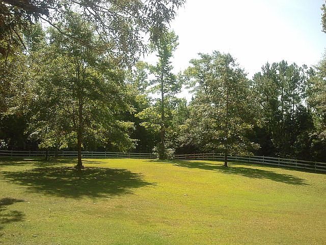 front yard