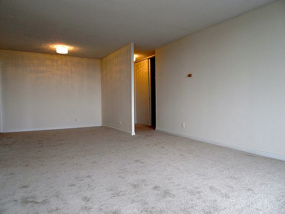 Living / Dining