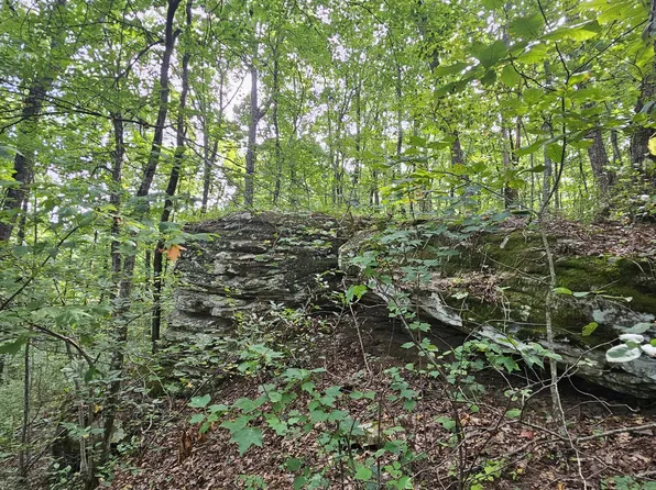 0 60th Ave S, Gruetli Laager, TN 37339