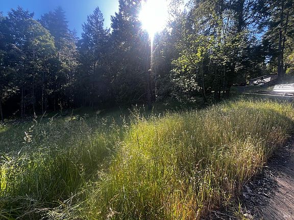 2nd image of 26048 Peacock Road