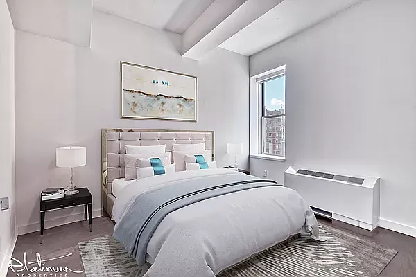 Rented by Platinum Properties | media 19