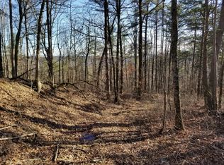 7403 Palmer Firetower Rd, Palmer, TN 37365