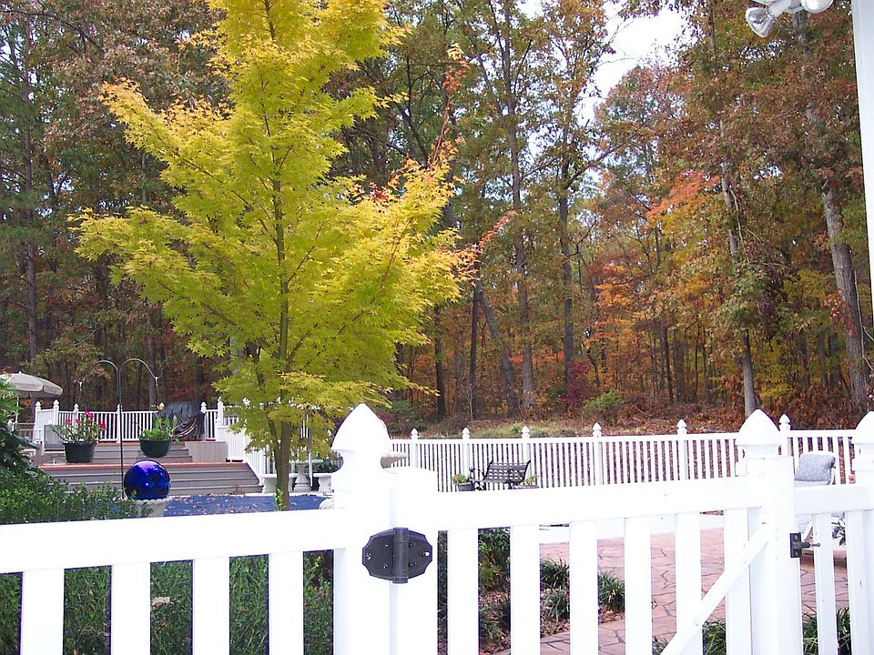 Backyard, Deck and Pool