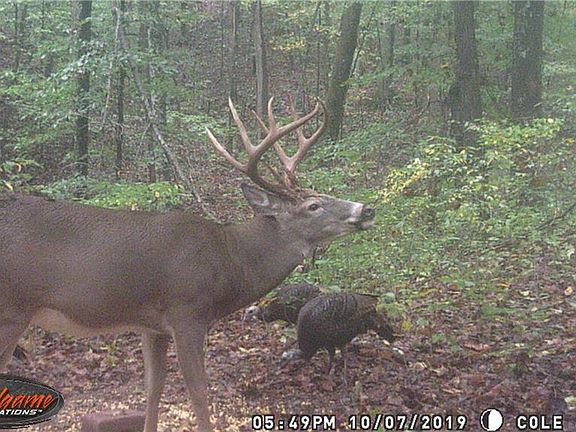 2nd image of 27600 S Side State Rd #328