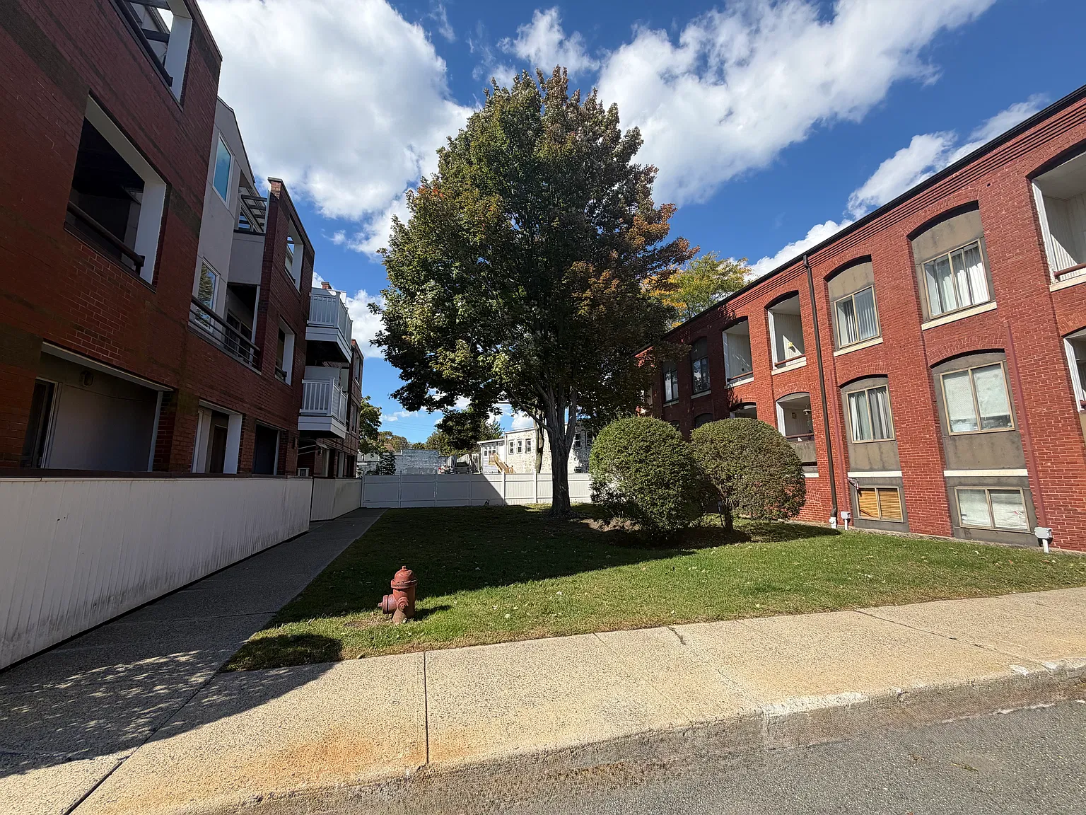1 bed, 782 sqft, $2,000 — Photo 3