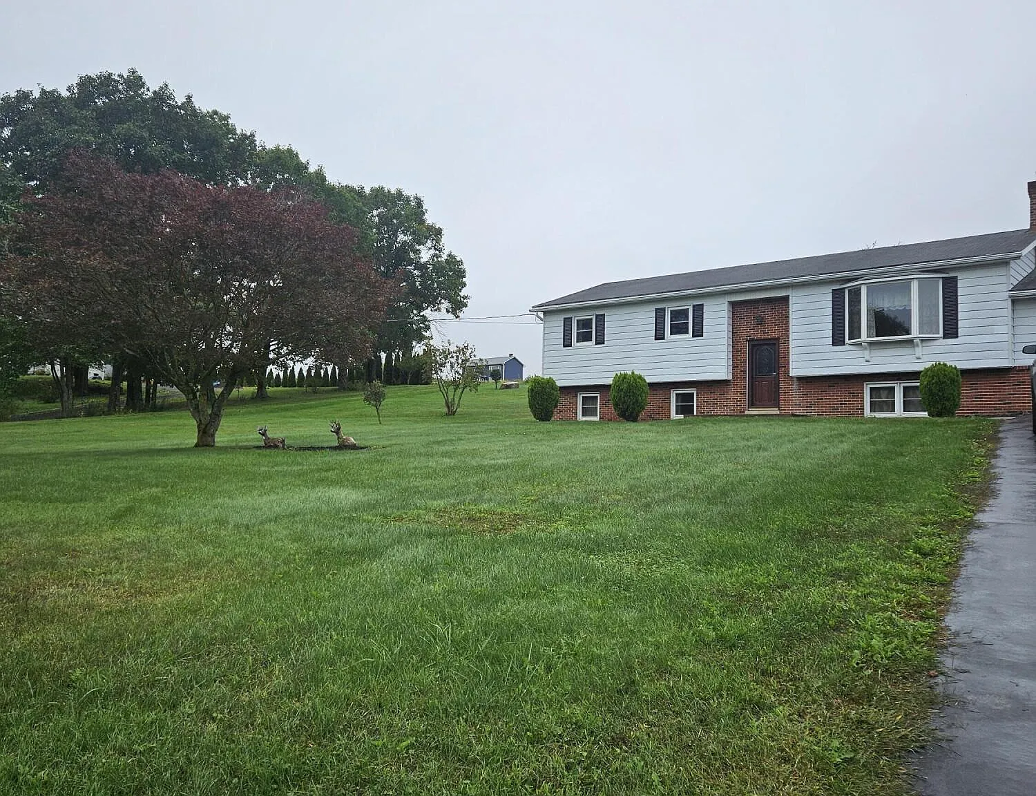 3 bed, 1656 sqft, $2,000 — Photo 3