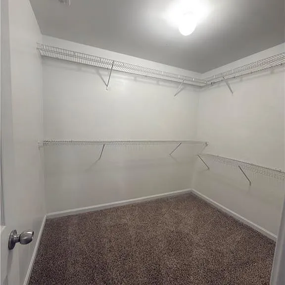 4171 Ash Tree St — Photo 10