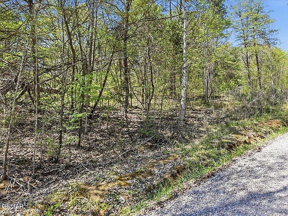 3rd image of 0 Dark Hollow Rd Lot 0