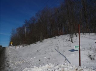 Shandelee Rd, Livingston manor, NY 12758