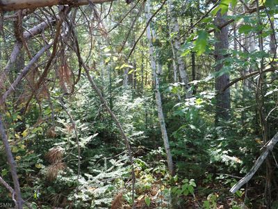 92500 Old Highway 23, Holyoke, MN, 55749