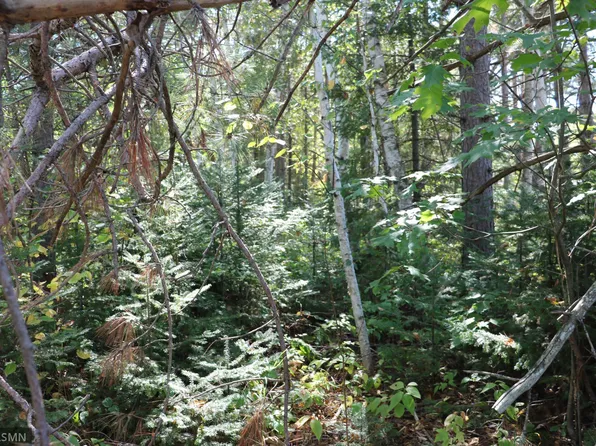 92500 Old Highway 23, Holyoke, MN 55749