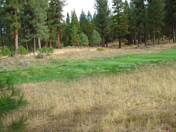 4th image of 66 Blue Grouse Ln