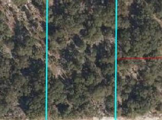 NE 87th Pl, Bronson, FL 32621