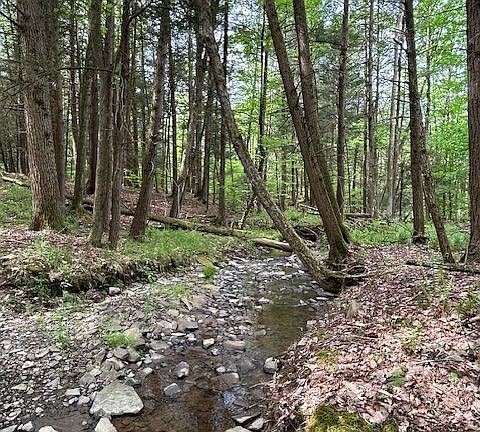 3rd image of 660 Anne Rd